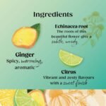 Twinings Superblends Defence Tea - Citrus & Ginger Green Tea Herbal Infusion with Echinacea & Vitamin C - 80 x Biodegradable Tea Bags - Image 5