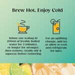 Twinings Superblends Defence Tea - Citrus & Ginger Green Tea Herbal Infusion with Echinacea & Vitamin C - 80 x Biodegradable Tea Bags - Image 6