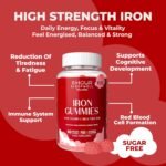 Iron Gummies – Sugar-Free & Vegan | High Strength 20mg for Energy, Immunity | with Vitamin C, B12 & Folic Acid | Alternative to Iron Tablets & Drops | Supplements for Women & Men | 1 Month Supply - Image 3