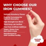 Iron Gummies – Sugar-Free & Vegan | High Strength 20mg for Energy, Immunity | with Vitamin C, B12 & Folic Acid | Alternative to Iron Tablets & Drops | Supplements for Women & Men | 1 Month Supply - Image 4