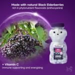 Sambucol Natural Black Elderberry Kids Chewable Teddies| Vitamin C | Immune Support Supplement | 60 tablets - Image 4