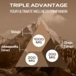 Shilajit Gummies 1400mg, Shilajit Supplement with Chaga and Ashwagandha, Original from Himalayan with Fulvic & Humic Acid and 85+ Minerals, for Energy, Immunity & Focus, Sugar-Free, 60 Gummies - Image 4