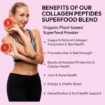 Vegan Collagen Powder with 11 Organic Superfoods – Plant-Based Collagen Supplement for Skin, Hair, Nails & Joints – Moringa, Cacao, Wheatgrass, Berries, Coconut Milk | 150g (30 Servings) VeganIsUs - Image 4