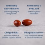 Efamol Active Memory - 30 Fish Oil Capsules | Fish Oil Omega 3 Brain Supplement & Gingko Biloba Memory Support Capsules | DHA Supports Normal Brain Function | Cognitive Function Maintenance - Image 4