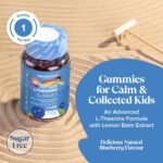 Kids L Theanine Gummies - 1 Month Supply - 50mg with Lemon Balm & Vitamin B6 to Improve Kids' Focus & Concentration - 30 Count - Vegan L Theanine Supplements Gummies - Novomins - Image 3