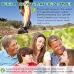 Wild Oregano Oil Drops 60ml, Natual Organic OreganoOil Wild Mediterranean Essential Oil of Oregano Liquid Herbal Supplement for Cold, Cough, Immune Support & Gut Health | Vegan, Non-GMO - Image 4