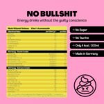 HOLY Energy Gaming Booster Flavour Powder | 50 portions with NewCaff & Green Tea Extract | Focus Booster - Focus Drink | Vegan with 100% natural fruit flavours (350 grams, Lion's Lemonade) - Image 3