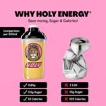 HOLY Energy Gaming Booster Flavour Powder | 50 portions with NewCaff & Green Tea Extract | Focus Booster - Focus Drink | Vegan with 100% natural fruit flavours (350 grams, Lion's Lemonade) - Image 4
