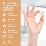 Intestinal Shield - Candida & Antimicrobial Cleanse, Natural Colon Detox Support with Wormwood, Black Walnut, Cloves, Grapefruit Seed Extract & More, 100% Herbal, 90 Capsules - Image 4