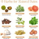 Intestinal Shield - Candida & Antimicrobial Cleanse, Natural Colon Detox Support with Wormwood, Black Walnut, Cloves, Grapefruit Seed Extract & More, 100% Herbal, 90 Capsules - Image 5