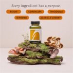 Perform & Recover – 60 Capsules – Adaptogens Supplement with Rhodiola, Ginseng, Reishi & Cordyceps – Natural Support for Energy, Stamina, Recovery & Resilience – Plant-Based Adaptogen Capsules - Image 4