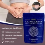 Lactobacillus Reuteri Probiotic Capsules | High Strength L Reuteri 10 Billion CFU | Probiotics for Gut Health | 2 Months Supply for Women & Men with Added Inulin Prebiotic by Roundway Supplements - Image 3