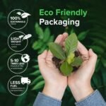 L-Theanine 250 mg + Caffeine 100 mg – Smooth & Balanced Energy – Focus, Productivity & Mental Clarity – High Strength Supplement – 60 Vegan Capsules – RAW Powders - Image 5