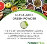 NaturesPlus Ultra Juice Green Powder - Organic Superfoods, Probiotics, Herbs, Spirulina, Chlorella, Chlorophyll - Gluten Free - 300g Powder - Image 4