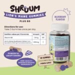 SHRUUM Focus: Lions Mane Gummies - 2000mg High Strength Lions Mane Supplement with B6 - Vegan, Sugar Free, Blueberry Flavour - 60 Tasty Gummies - 30 Day Supply - for Focus and Mental Clarity. - Image 3
