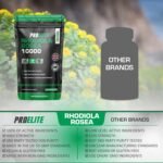 Rhodiola Rosea Extract 500mg 120 Vegan Capsules | 3% Standardised Rosavins 1% Salidrosid | Arctic Root Nootropic Adaptogen Supplement | Premium Rhodiola Root Extract | Made in UK by PROELITE - Image 6