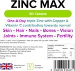 Lindens Zinc Max Tablets - 90 Pack - Provides 300% Nrv Dose, Fortified with Vitamin C & Copper to Contribute Towards Healthy Hair, Skin, Nails, Vision & Hormone Balance - UK Made, Letterbox Friendly - Image 3