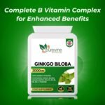 PUREVINE - Ginkgo Biloba Capsules 2000mg - Focus, Concentration Pills for Brain, Memory - Blood Circulation, High Strength Ginkgo Biloba Herbal Supplements with Vitamin B Complex - Image 4