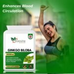 PUREVINE - Ginkgo Biloba Capsules 2000mg - Focus, Concentration Pills for Brain, Memory - Blood Circulation, High Strength Ginkgo Biloba Herbal Supplements with Vitamin B Complex - Image 5