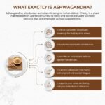 Bandini® Ashwagandha KSM-66® | 60 Vegan Capsules with 500mg of Pure High Strength Ashwaganda Root Extract | Sleep Aid & Calm | Reduce Stress & Fatigue | Non-GMO | 2 Months Supply | Made in Italy - Image 4