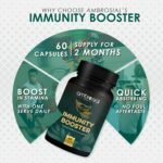 Ambrosial Herbal Immunity Booster for Immune Support | Immunity Supplements with Blend of 6 Natural Herbs- Amla, Ashwagandha, Giloy, Turmeric, Black Pepper & Licorice (Pack of 1-60 Capsules) - Image 4