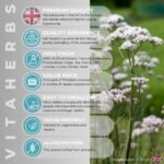 Valerin™ Valerian Root Tablets | Valerian Root Extract 200mg | Easy to Swallow Micro Tablets | 70 Vegan Tablets | Vitaherbs - Made in The UK - Image 4