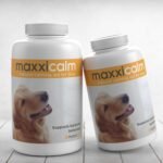 maxxipaws maxxicalm Natural Calming Supplement for Dogs - 60 Non-Drowsy Tablets - Image 6