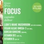 Grass & Co. Lion's Mane Mushroom 600mg Capsules with Vitamin D, Vegan Omega 3, Vitamin B12 & Ginseng | Focus | Supports Cognitive Health | 60 Capsules, 30 Servings - Image 3