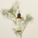 Bach Original Flower Remedies (White Chestnut) Live The Day, Stay Tranquil, Emotional Wellness, Natural Flower Essence, 20ml - Image 3