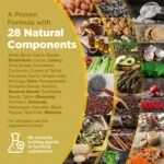 Strength & Spices Anti-inflammatory, Muscle and Joint Care Supplements for Mobility and Recovery, Turmeric Capsules with 28 Powerful Ingredients, Vegan and All-Natural, 1000mg, 60 Capsules, Refill - Image 5