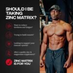 Reflex Nutrition Zinc Matrix - Magnesium, Zinc, Vitamin B6, Boron & Copper Supplement - Fatigue and Tiredness Supplements - Normal Muscle Function - Support Metabolism and Immune System (100 Capsules) - Image 4