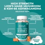 Lions Mane Supplement & Mushroom Gummies – High Strength 4300mg with Ashwagandha KSM-66, Zinc, B6 & B12 – 60 Vegan Sugar-Free Gummies for Calm, Focus, Mental Performance & Nervous System Support - Image 3
