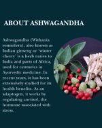 Doctor's Secret Ashwagandha Gummies | 5% Withanolides | Vegan | Natural Food Supplement Used to Support Stress, Anxiety, Sleep and Mental & Physical Performance | Non-GMO | Made in The UK - Image 4
