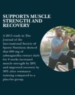 Doctor's Secret Ashwagandha Gummies | 5% Withanolides | Vegan | Natural Food Supplement Used to Support Stress, Anxiety, Sleep and Mental & Physical Performance | Non-GMO | Made in The UK - Image 5