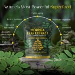 Moringa Leaf Extract 10,000mg | 120 Vegan Capsules | Organic, Non-GMO | High Strength Superfood Supplement | Made in UK | Natural Energy & Immunity Support - Image 4