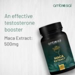 Ambrosial Maca Root Capsules for Women & Men - High Strength 500 Maca mg per Capsule, Supports Stamina & Energy - Natural Maca Root High Strength 60 Capsules - Image 3