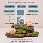 Focus & Clarity – Lion's Mane Focus Supplement with Holy Basil, Rosemary & Adaptogens for Memory, Concentration & Cognitive Support, Vegan, Organic Capsules, 60 Capsule Pouch - Image 3