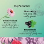 Twinings Superblends Immune Support, 20 Tea Bags - Image 3