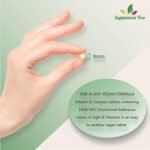 Vitamin B Complex 365 Tablets - with B1, B2, B3, B5, B6, B12, Biotin, Folic Acid - UK Manufactured - Image 4