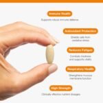 Metagenics ImmunoBlast - Immune Support Supplement - with Beta Glucans, Vitamins A, C, D, E & Zinc for Immune Support - 60 Tablets - Image 4