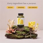 Rise & Shine – 60 Capsules – Korean & Siberian Ginseng Capsules with Reishi – Natural Energy Supplement for Adults – Energy, Vitality & Cognitive Support - Image 4