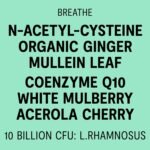 ActiLung – Natural Lung Support Supplement | NAC, Mullein Leaf & Ginger for Mucus Clearance, Respiratory Health & Lung Detox | Probiotics & Vitamin C for Immune Support | 60 Capsules - Image 5
