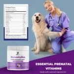 Prenatal Vitamins for Dogs & Cats – Pre & Postnatal Supplement with Probiotics, Glucosamine, MSM, CoQ10, & Essential Vitamins – Supports Pregnancy, Nursing & Recovery – 90 Soft Chews (Salmon Flavor) - Image 5