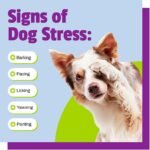 Pet Naturals Calming for Dogs, 30 Chews - Naturally Sourced Stress and Anxiety Calming Ingredients for Behavior Support - Vet Recommended - Image 7