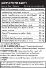 Glucotox | Ayurvedic Herbs Vegetarian Herbal Diet Supplement | Blood Sugar Support | Blood Sugar Balance & Control | Vegan Glucose Support | Blood Glucose Metabolism | 60 Capsules - Image 5
