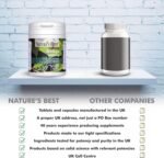 Nature's Best Ginkgo Biloba 6000mg - High Strength - Pure Grade Extract and Time Release Formula - UK Made - 120 Vegan Tablets (2 Months' Supply) - Image 3