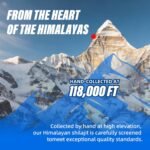 Pure Himalayan Shilajit Resin – Certified Organic Mineral Pitch | 75% Fulvic & Humic Acids, 85 + Trace Minerals | Natural Energy, Sleep & Workout Recovery Support 50 g - Image 4