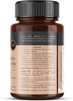 Triple Strength Immune Support - Elderberry Gummies with Vitamin C & Zinc x 90 Gummies - Image 3