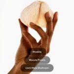 Kind Patches | Dopamine Patches | Well Being and Focus Support | Plant-Based Formula with Rhodiola, Mucuna Pruiens and Lion's Mane Mushroom | 30 Vegan Patches - Image 3