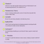 Noops Nootropics BrainCare Night for Mood & Relaxation - L-Theanine, Ashwagandha KSM-66, Vitamin D, Zinc, Montmorency Cherry, Magnesium Glycinate, Lemon Balm & Lavender Supplement, 60 Capsules - Image 3